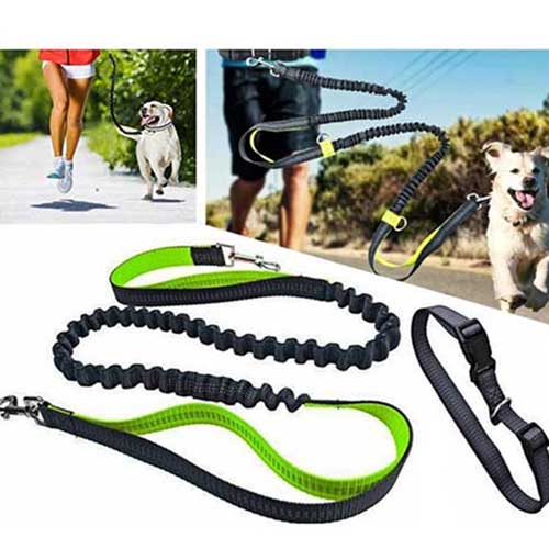 кучешка каишка