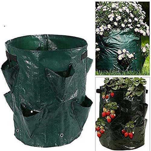 торба за отглеждане на ягоди