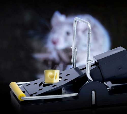 капан за мишки с висока чувствителност