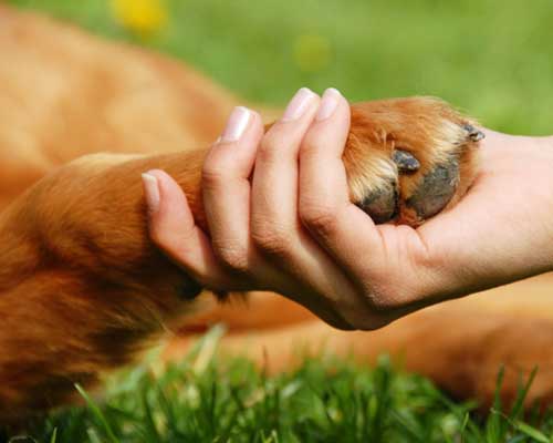 тример за нокти-уникален