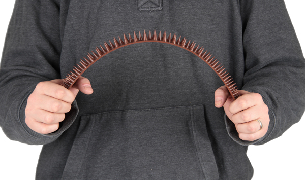 уникални-съвети-за-птиците