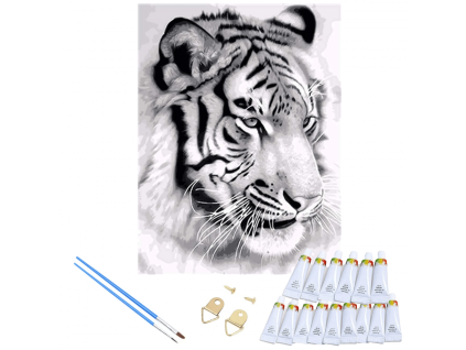 Očarujúce maľovanie podľa čísel - tyger