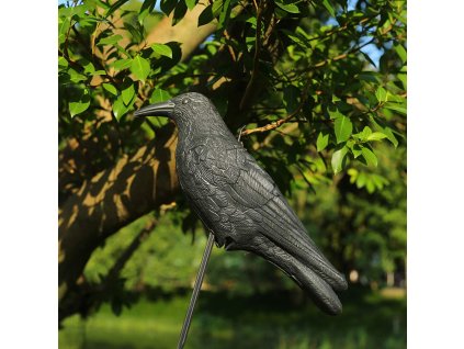 Модел на гарван