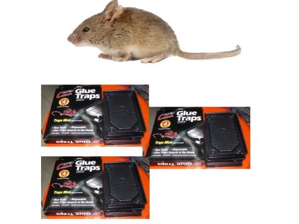 висококачествен лепен капан за мишки 3x
