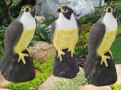 влечуго птица сокол модел на хищник 3x