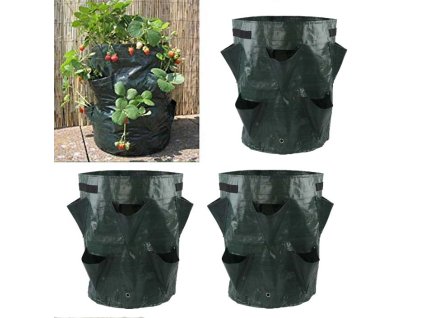 торбичка с ягоди 3x