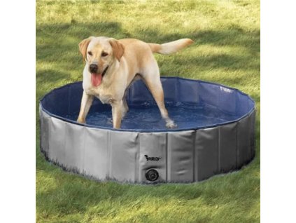басейн за кучета