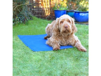 уникална охлаждаща подложка за кучета