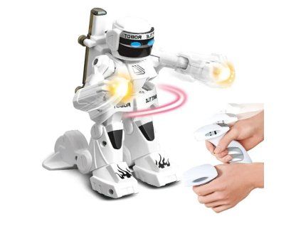 robot boxer