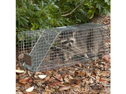 уникален капан за белка