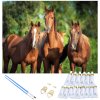 Очарователна картина по номера - коне
