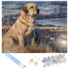 Očarujúce maľovanie podľa čísel - labrador