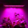 LED panel pre rast rastlín