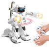 robot boxer