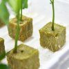 кубове за засаждане на разсад