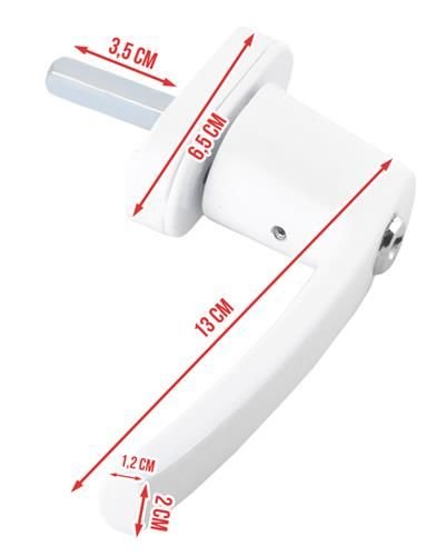 djevojka iz osiguranja