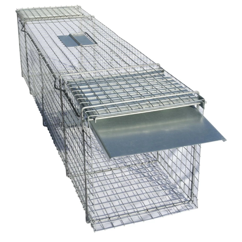 Kvalitní past na lišky 