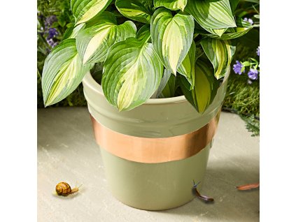 měděná samolepicí páska proti šnekům