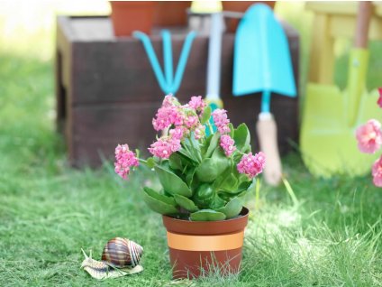 měděná samolepicí páska proti šnekům