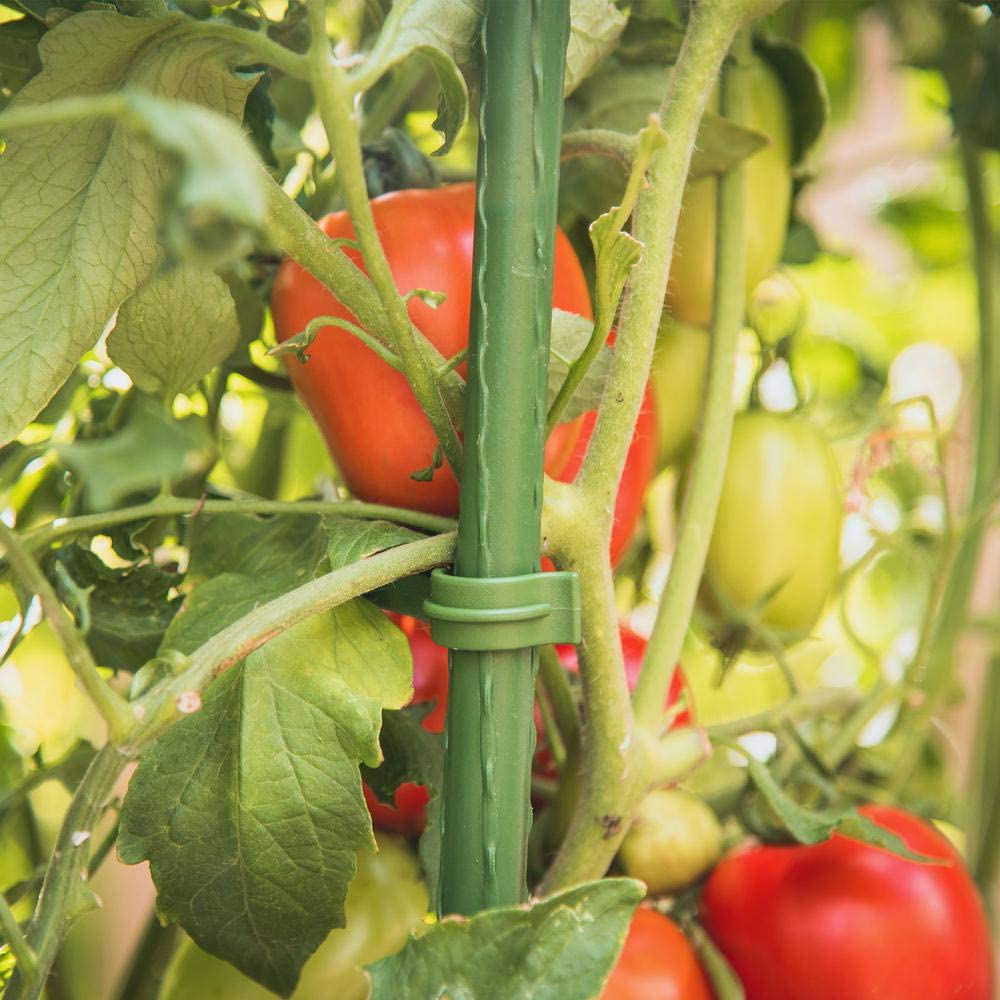 Deminas | Praktické tyčky k rajčatům - podpěra rostlin