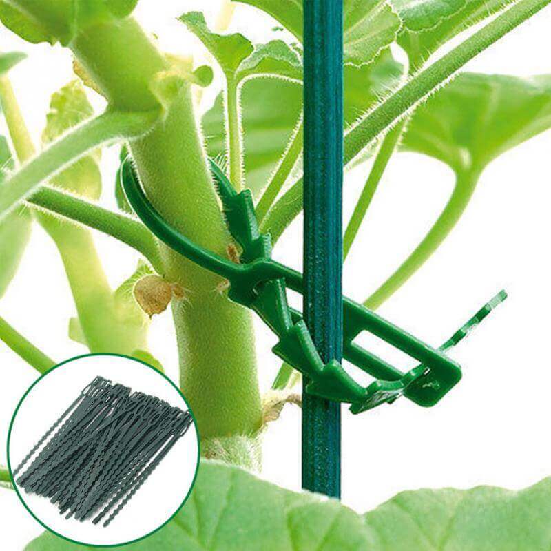Deminas | Zahradnické vázací pásky na rostliny