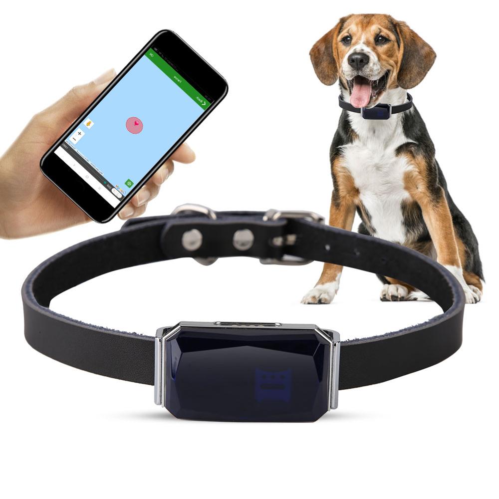 Deminas | Spolehlivý GPS obojek pro psa a kočky