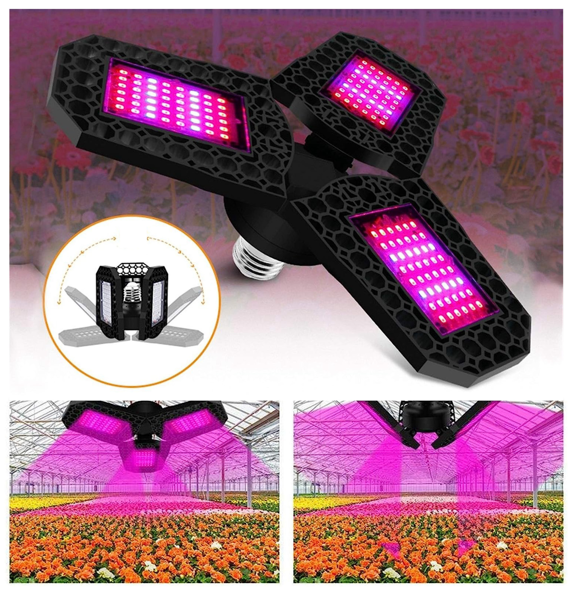 Jedinečná LED lampa pro růst rostlin