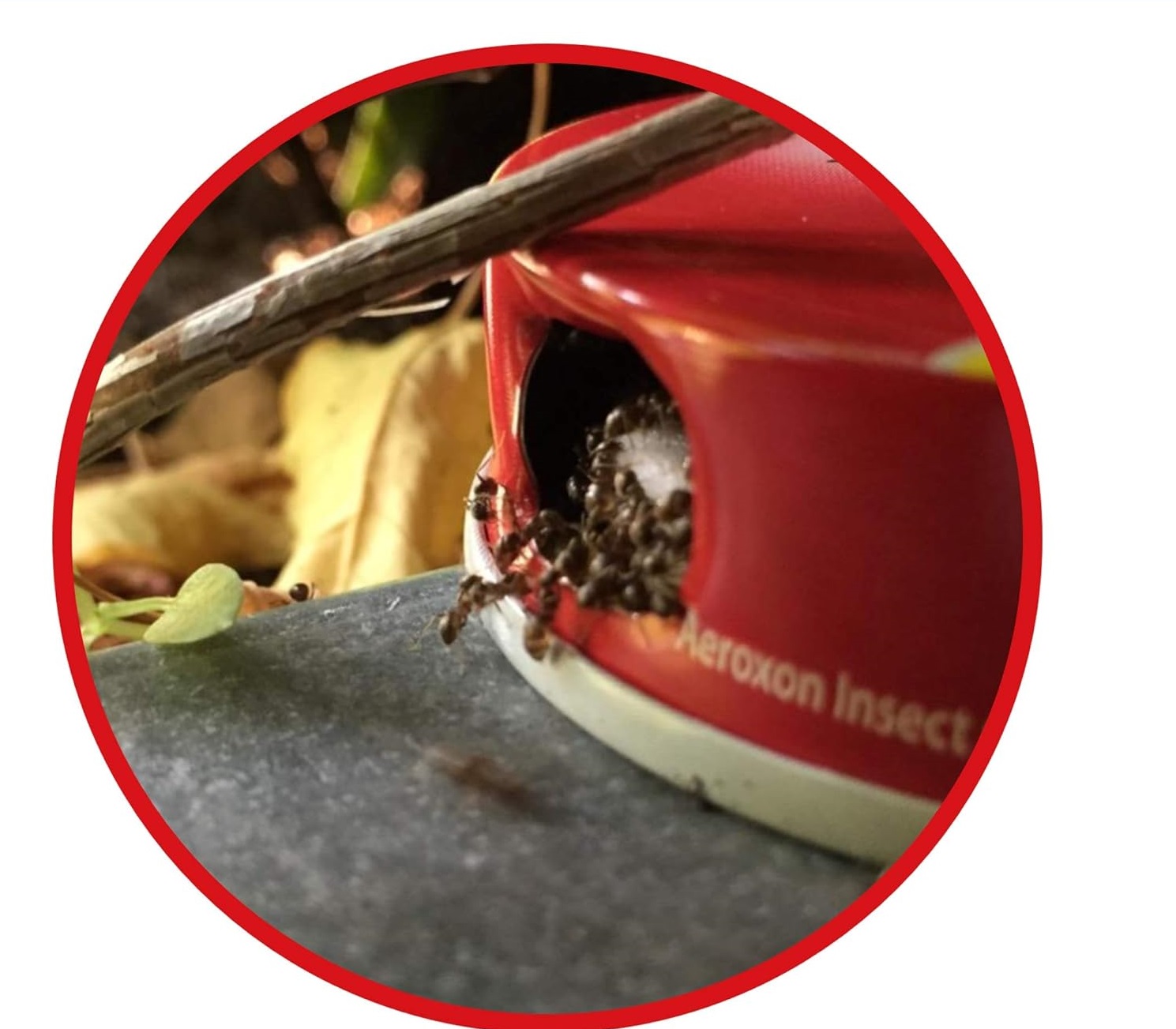 Deminas | DVOJBALENÍ - Kvalitní nástraha na mravence - domeček