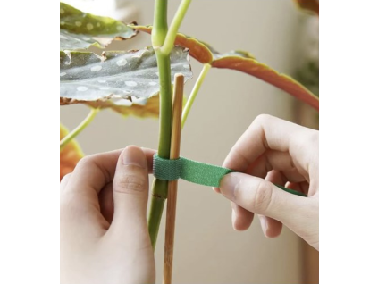 ταινία φυτών με velcro
