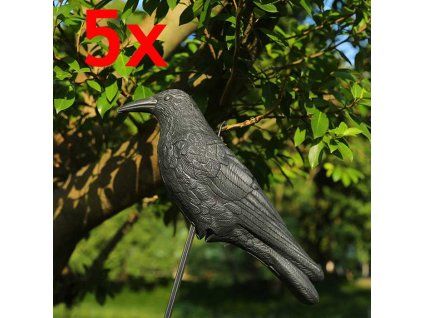 πουλί σκιάχτρο 5x