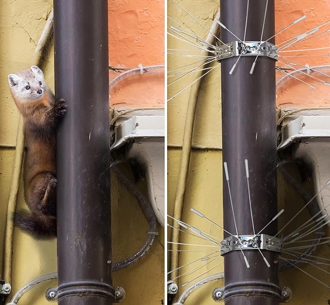 praktične žice protiv penjanja po drveću