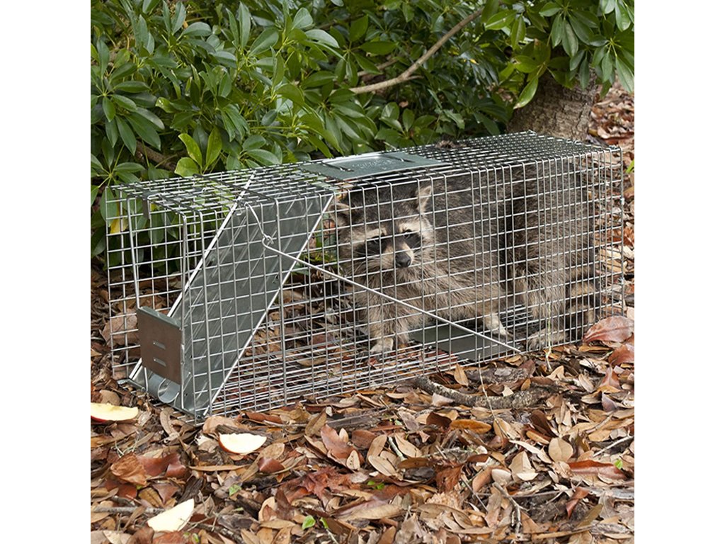 učinkovit zamka za kune