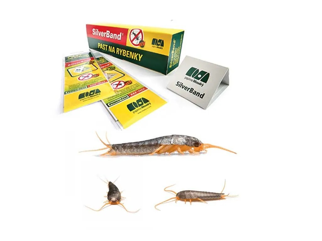 Učinkovita ljepljiva zamka za srebrne ribice