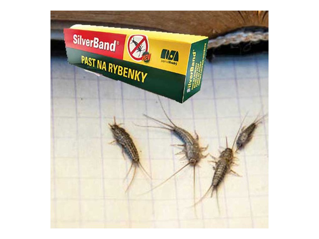  ljepljiva zamka za srebrne ribice