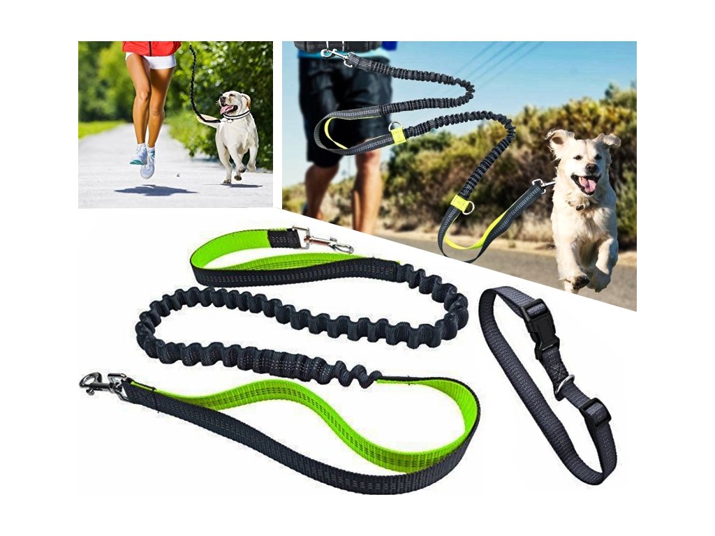 Povodac za trčanje sa psom + Svjetleća ogrlica za psa