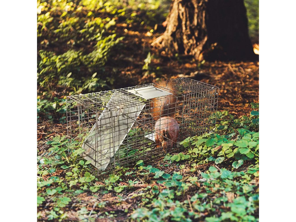 zamka za štakore i miševe