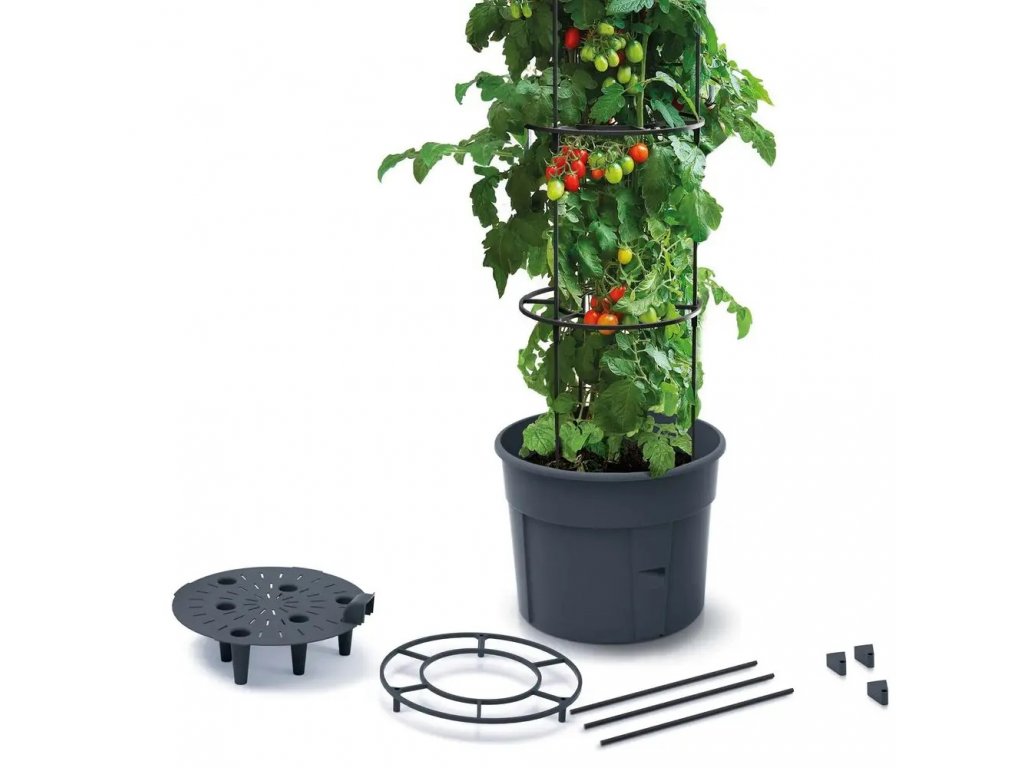 Posuda za cvijeće za udobno uzgajanje rajčica s potpornom strukturom