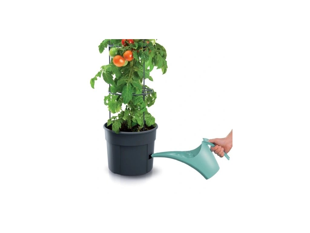 Posuda za cvijeće za udobno uzgajanje rajčica