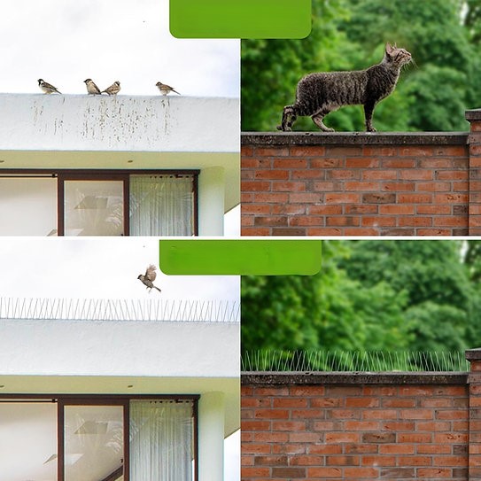 šiljci protiv ptica - 2,5 m~mv2