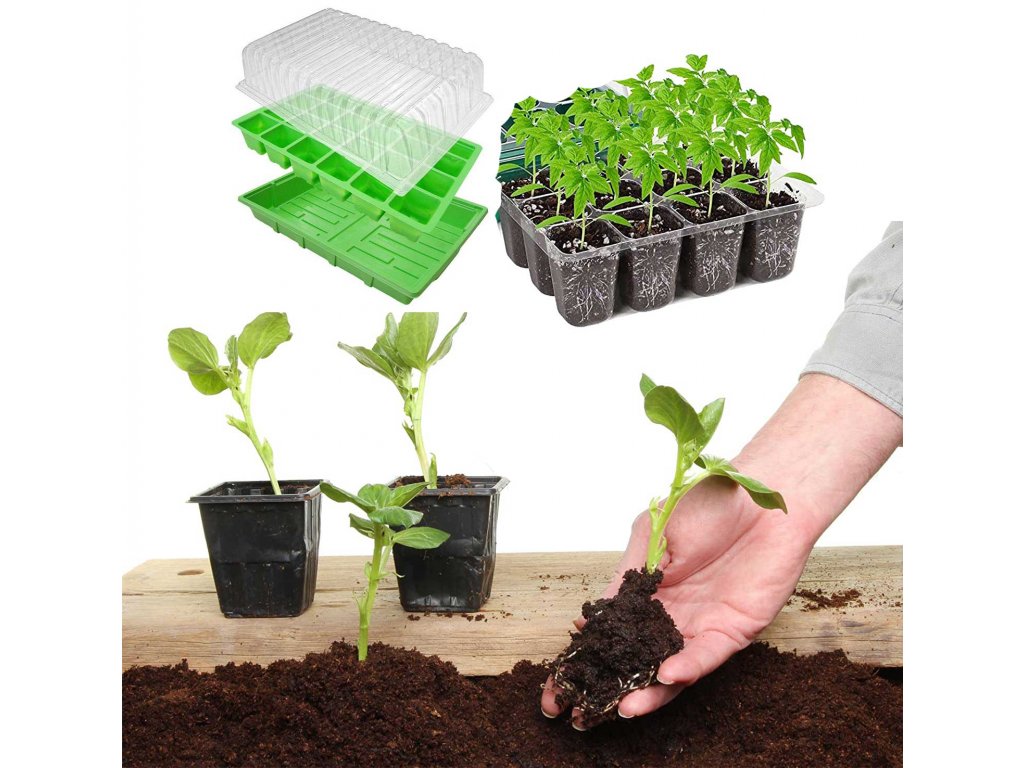 mini staklenik za sadnice