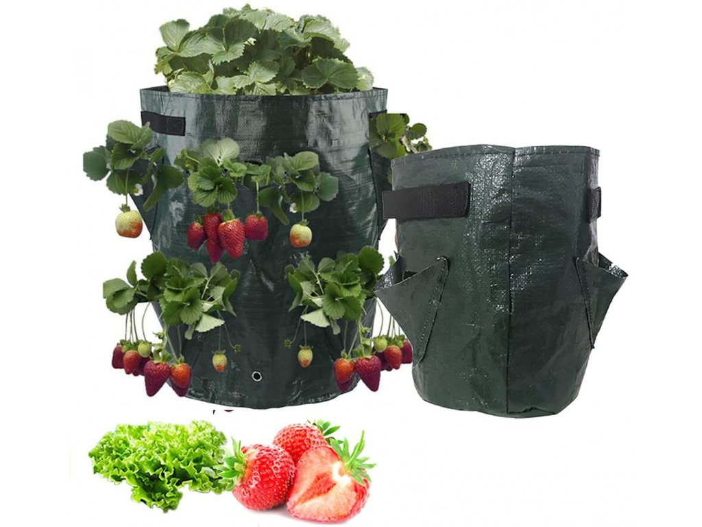 grow bag za uzgoj jagoda