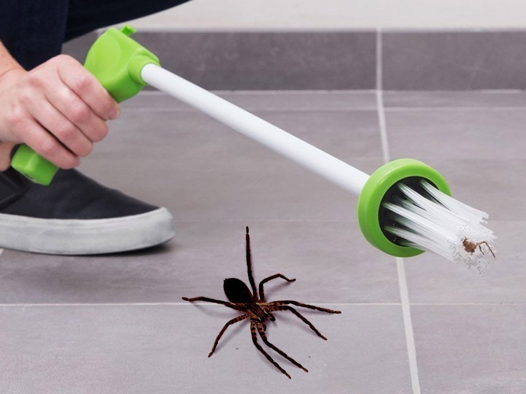 PROFESIONALNI HVATČ PAUKA