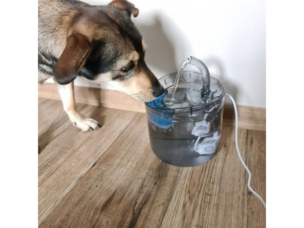 automatska fontana za kućne ljubimce