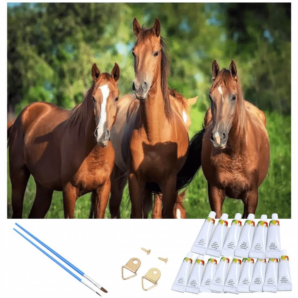 Očaravajuće slikanje brojevima - konji