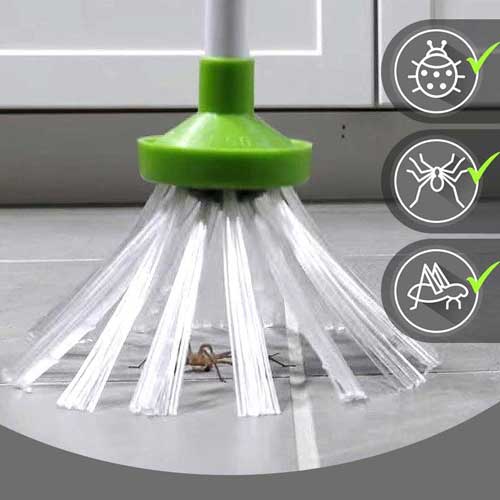 Profesionalni hvatač pauka