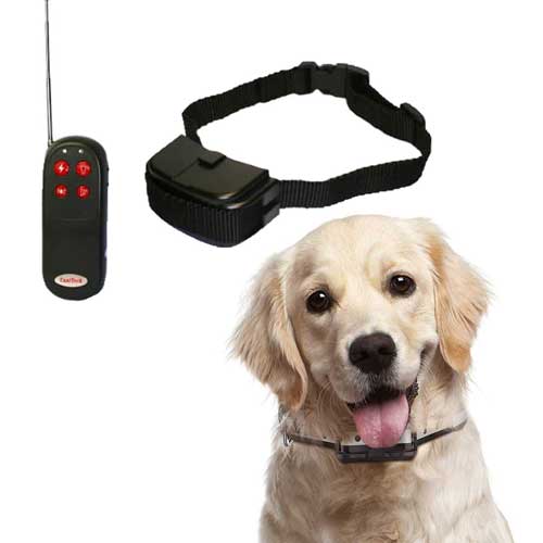 električna ogrlica za psa