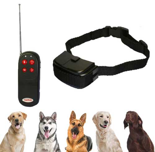električna ogrlica za dresiranje psa