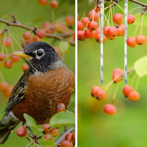posebne unikatne reflektirajuće trake