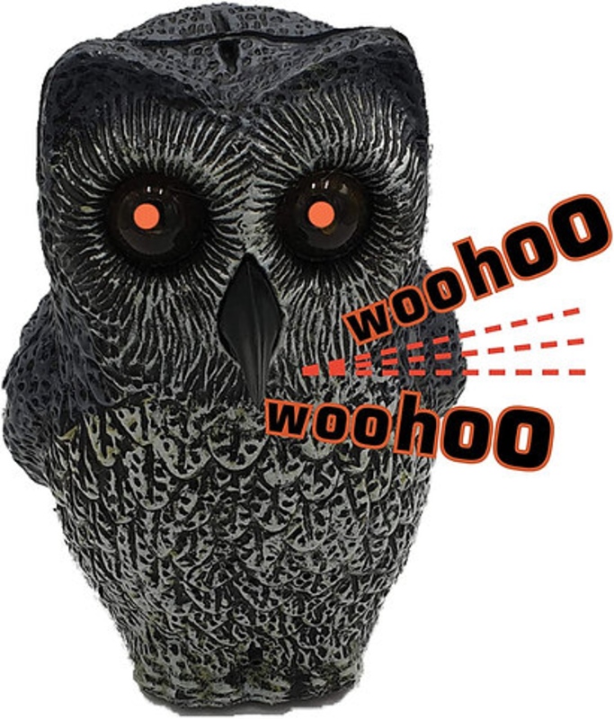 Jedinstveno zvučno i svjetlosno strašilo ptica - sova