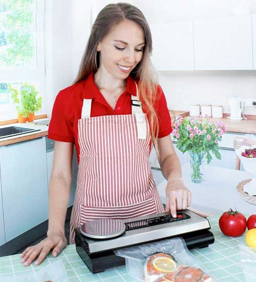 vakuum za hranu profesionalni